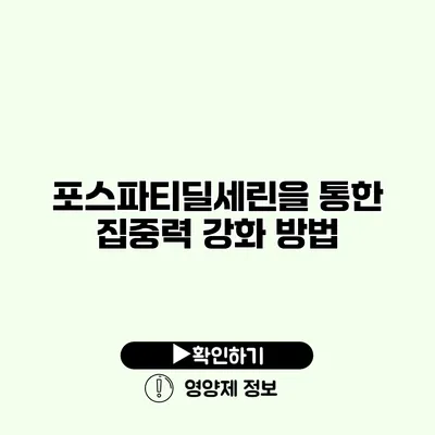 포스파티딜세린을 통한 집중력 강화 방법