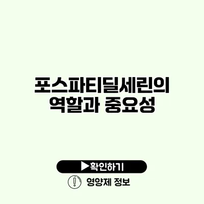 포스파티딜세린의 역할과 중요성