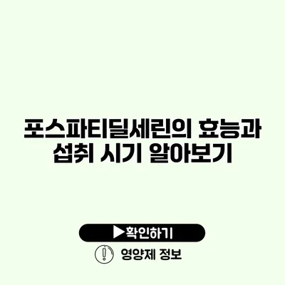 포스파티딜세린의 효능과 섭취 시기 알아보기