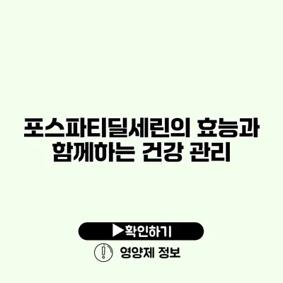 포스파티딜세린의 효능과 함께하는 건강 관리