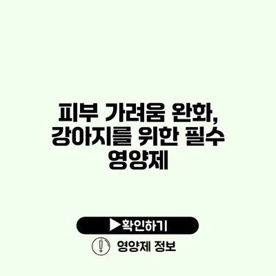 피부 가려움 완화, 강아지를 위한 필수 영양제