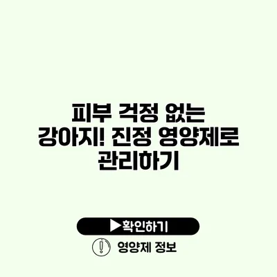 피부 걱정 없는 강아지! 진정 영양제로 관리하기