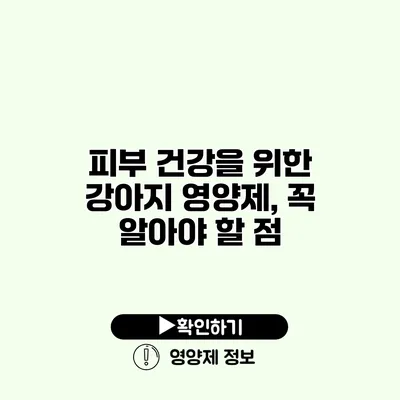 피부 건강을 위한 강아지 영양제, 꼭 알아야 할 점