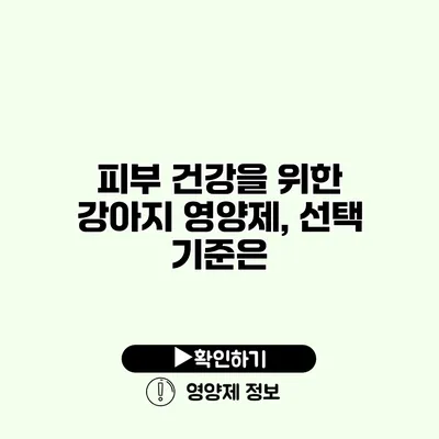 피부 건강을 위한 강아지 영양제, 선택 기준은?