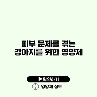 피부 문제를 겪는 강아지를 위한 영양제