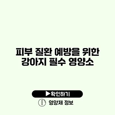 피부 질환 예방을 위한 강아지 필수 영양소