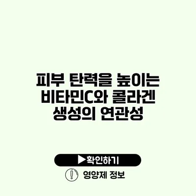 피부 탄력을 높이는 비타민C와 콜라겐 생성의 연관성