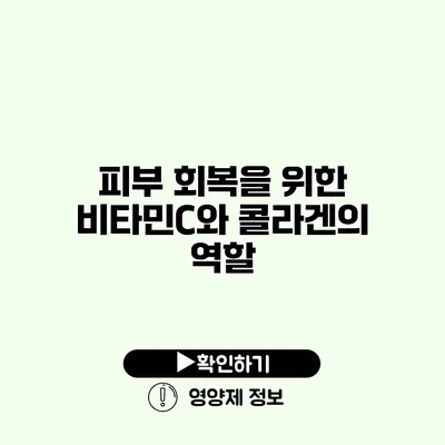 피부 회복을 위한 비타민C와 콜라겐의 역할