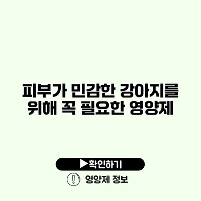 피부가 민감한 강아지를 위해 꼭 필요한 영양제