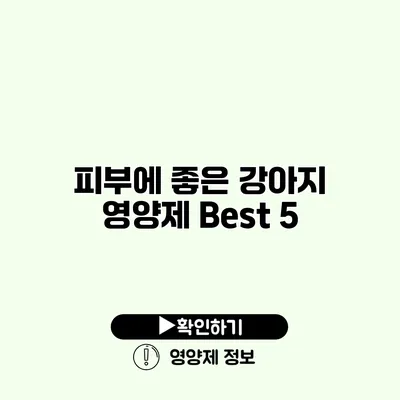 피부에 좋은 강아지 영양제 Best 5