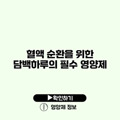 혈액 순환을 위한 담백하루의 필수 영양제