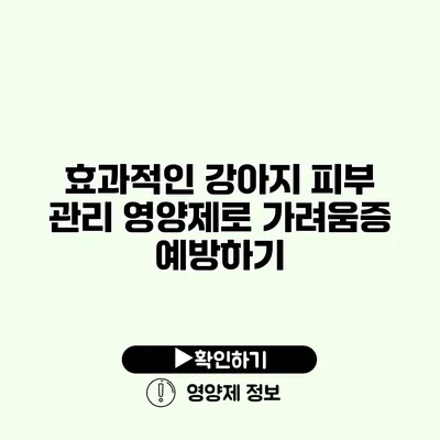 효과적인 강아지 피부 관리 영양제로 가려움증 예방하기