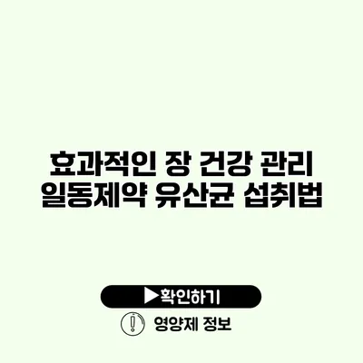 효과적인 장 건강 관리 일동제약 유산균 섭취법