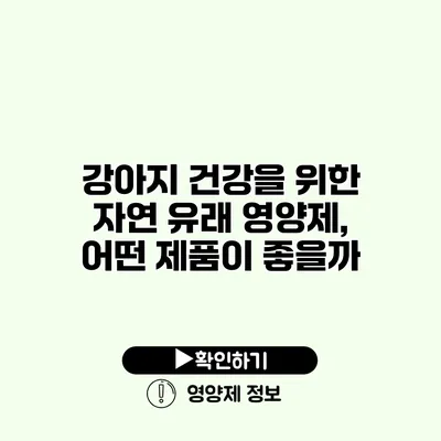 강아지 건강을 위한 자연 유래 영양제, 어떤 제품이 좋을까?