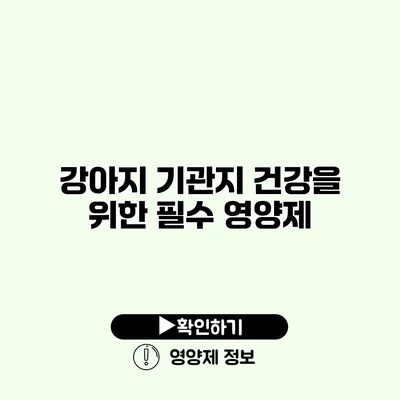 강아지 기관지 건강을 위한 필수 영양제