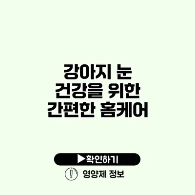 강아지 눈 건강을 위한 간편한 홈케어