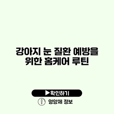 강아지 눈 질환 예방을 위한 홈케어 루틴
