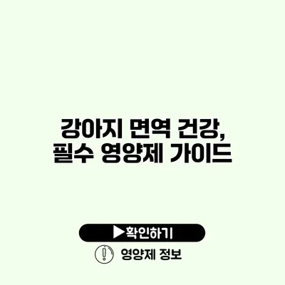 강아지 면역 건강, 필수 영양제 가이드