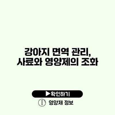 강아지 면역 관리, 사료와 영양제의 조화