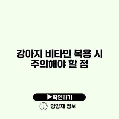 강아지 비타민 복용 시 주의해야 할 점