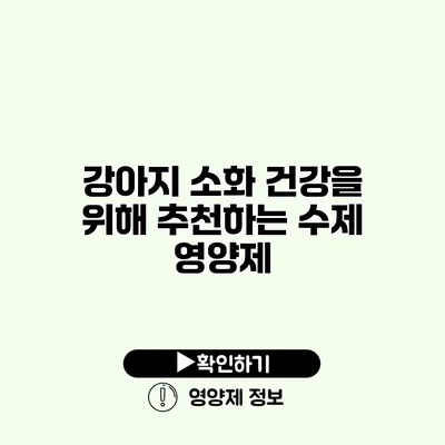 강아지 소화 건강을 위해 추천하는 수제 영양제