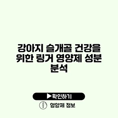강아지 슬개골 건강을 위한 링거 영양제 성분 분석