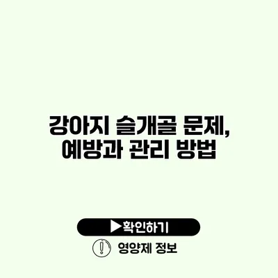 강아지 슬개골 문제, 예방과 관리 방법