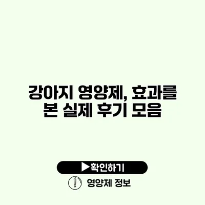 강아지 영양제, 효과를 본 실제 후기 모음