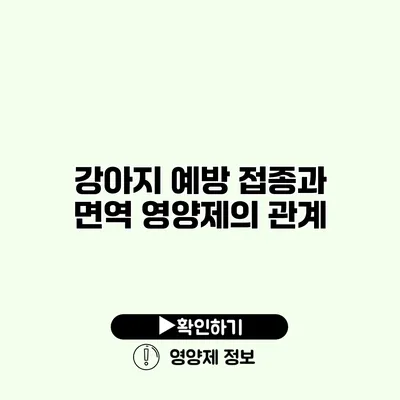 강아지 예방 접종과 면역 영양제의 관계