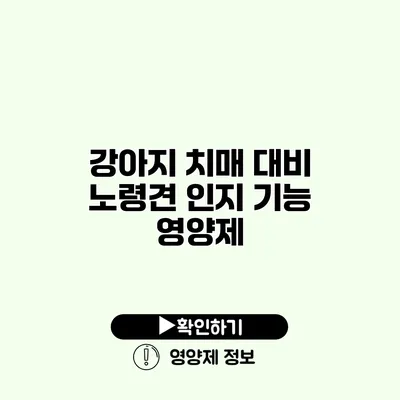 강아지 치매 대비 노령견 인지 기능 영양제
