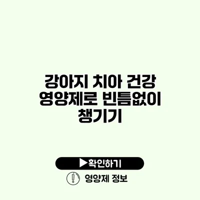 강아지 치아 건강 영양제로 빈틈없이 챙기기