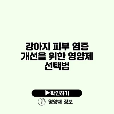 강아지 피부 염증 개선을 위한 영양제 선택법