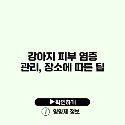 강아지 피부 염증 관리, 장소에 따른 팁