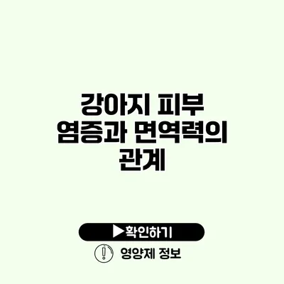 강아지 피부 염증과 면역력의 관계