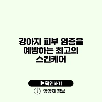 강아지 피부 염증을 예방하는 최고의 스킨케어
