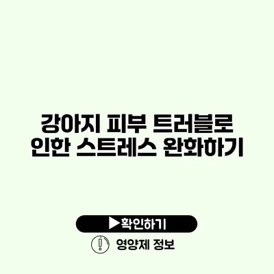 강아지 피부 트러블로 인한 스트레스 완화하기