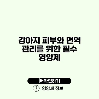 강아지 피부와 면역 관리를 위한 필수 영양제