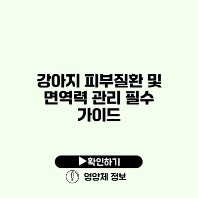 강아지 피부질환 및 면역력 관리 필수 가이드