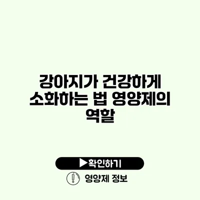 강아지가 건강하게 소화하는 법 영양제의 역할