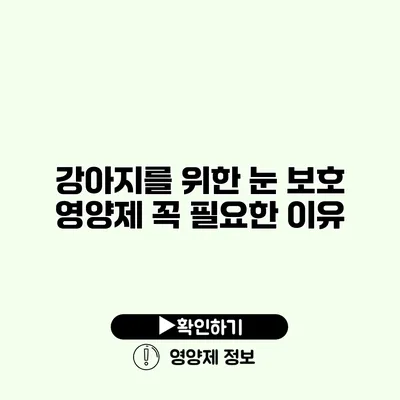 강아지를 위한 눈 보호 영양제 꼭 필요한 이유