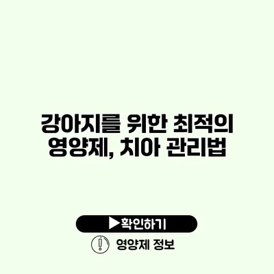 강아지를 위한 최적의 영양제, 치아 관리법