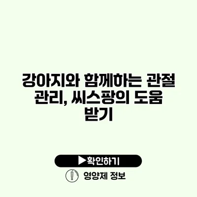 강아지와 함께하는 관절 관리, 씨스팡의 도움 받기