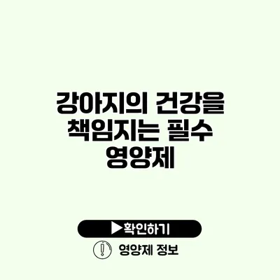강아지의 건강을 책임지는 필수 영양제