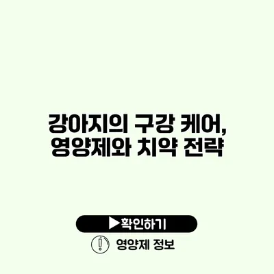 강아지의 구강 케어, 영양제와 치약 전략