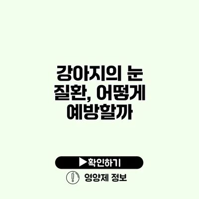 강아지의 눈 질환, 어떻게 예방할까?