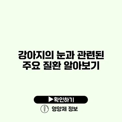 강아지의 눈과 관련된 주요 질환 알아보기