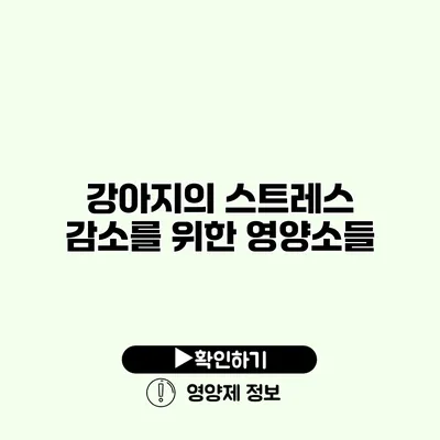 강아지의 스트레스 감소를 위한 영양소들