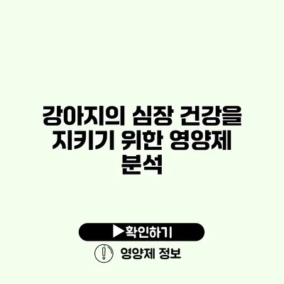 강아지의 심장 건강을 지키기 위한 영양제 분석