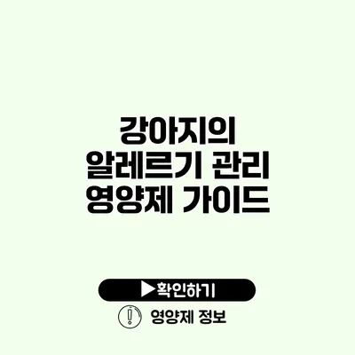 강아지의 알레르기 관리 영양제 가이드