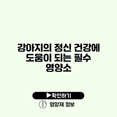 강아지의 정신 건강에 도움이 되는 필수 영양소
